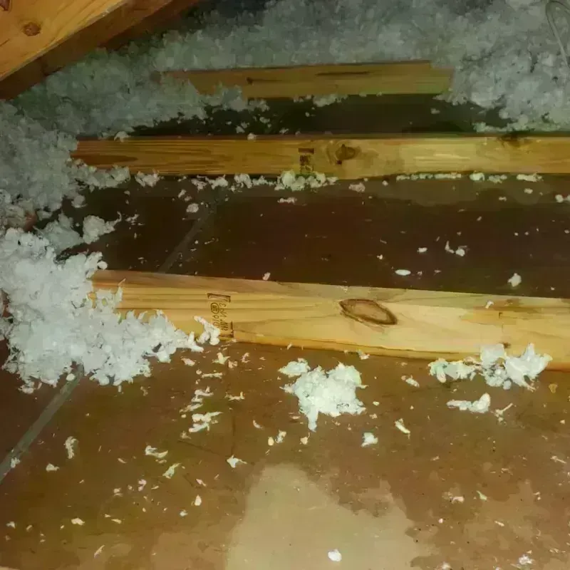 Attic Water Damage in Hartselle, AL