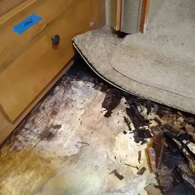 Best Wood Floor Water Damage Service in Hartselle, AL